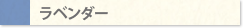 ラベンダー