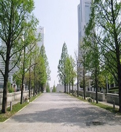 みなとみらい 道.jpg
