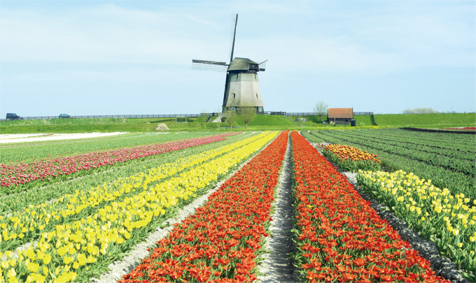 GL_I_Holland5.jpg